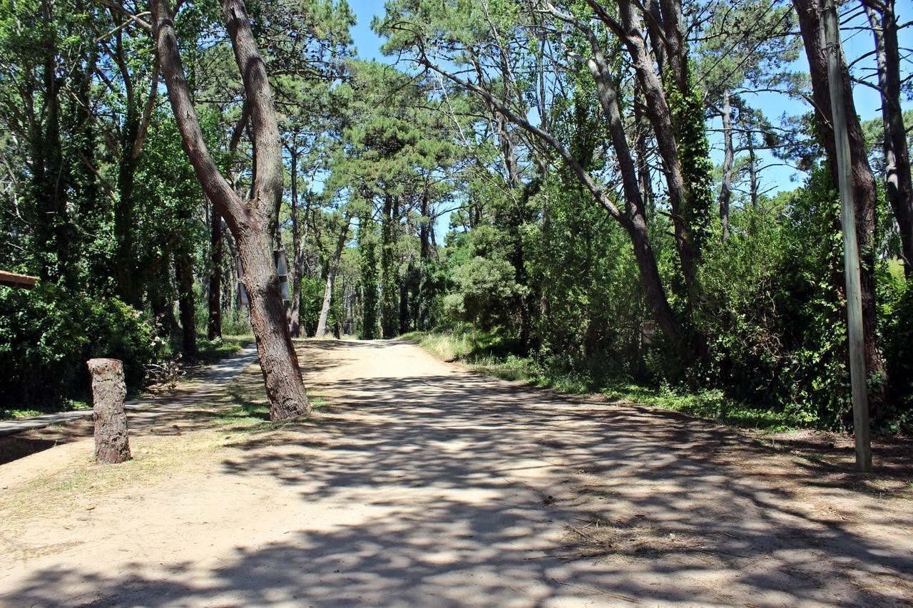 Ramma Camping Hostel Villa Gesell Luaran gambar